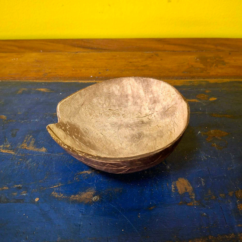Porta cenere tartaruga in legno coperchio cocco