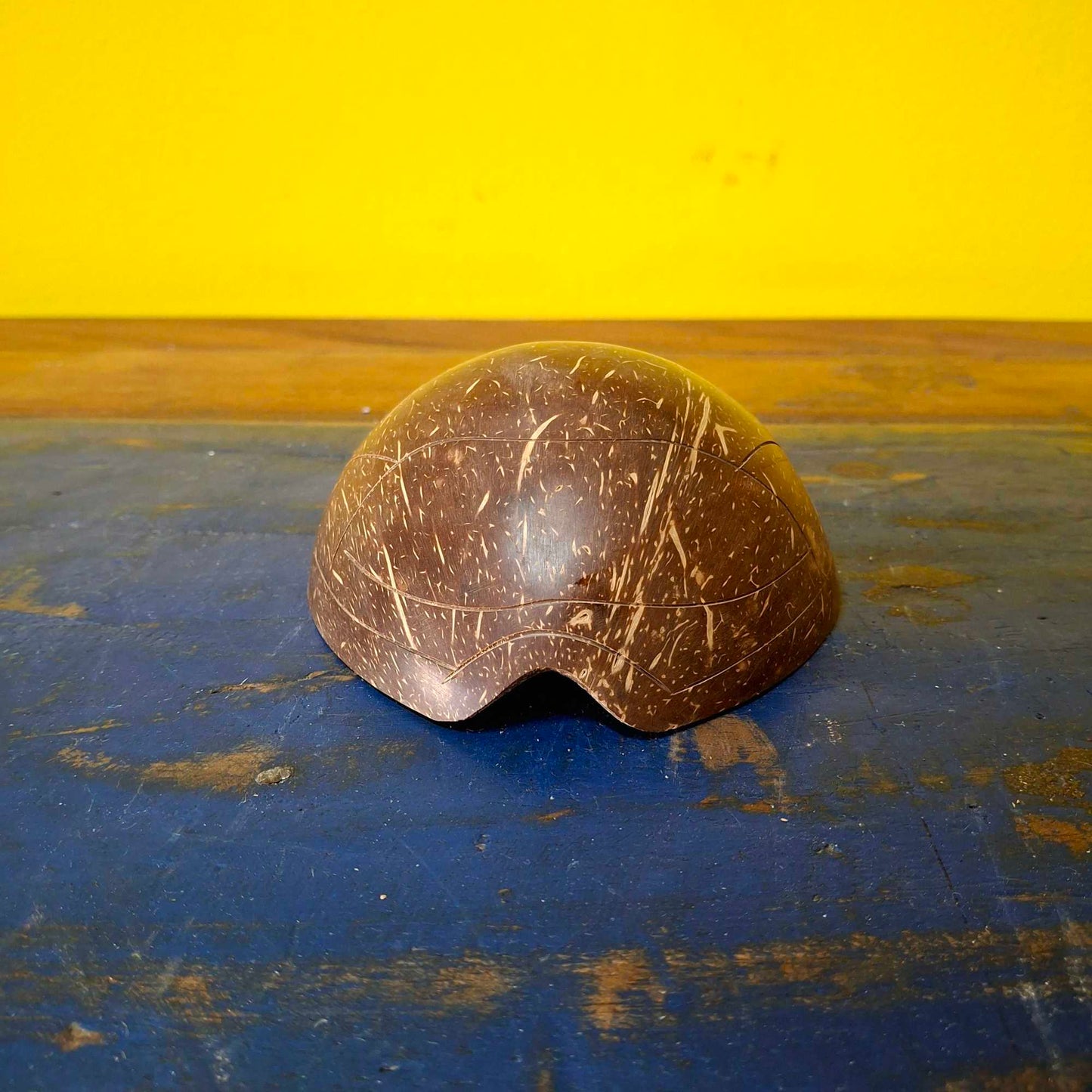 Posa cenere tartaruga in legno con coperchio in cocco