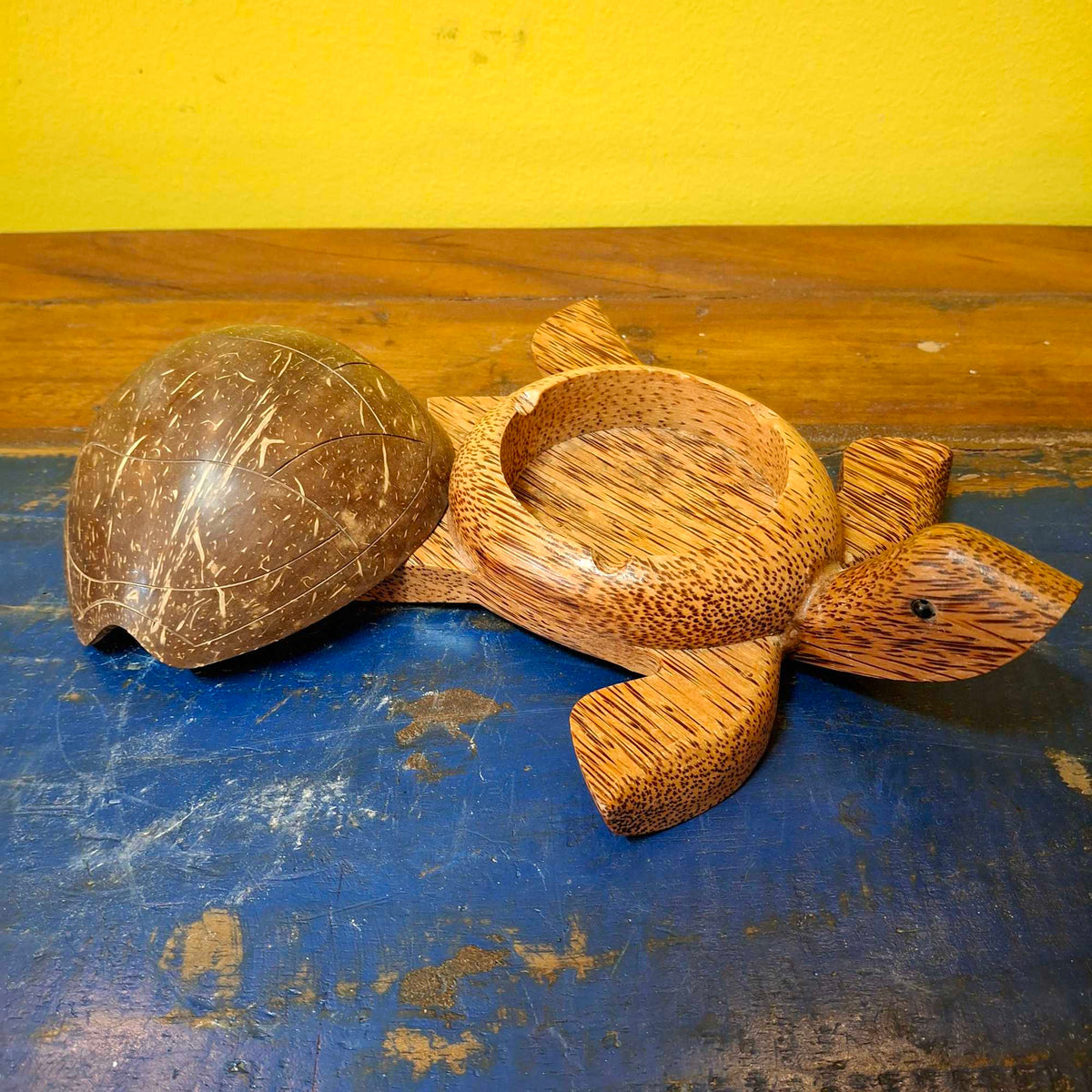 Porta cenere tartaruga in legno coperchio cocco