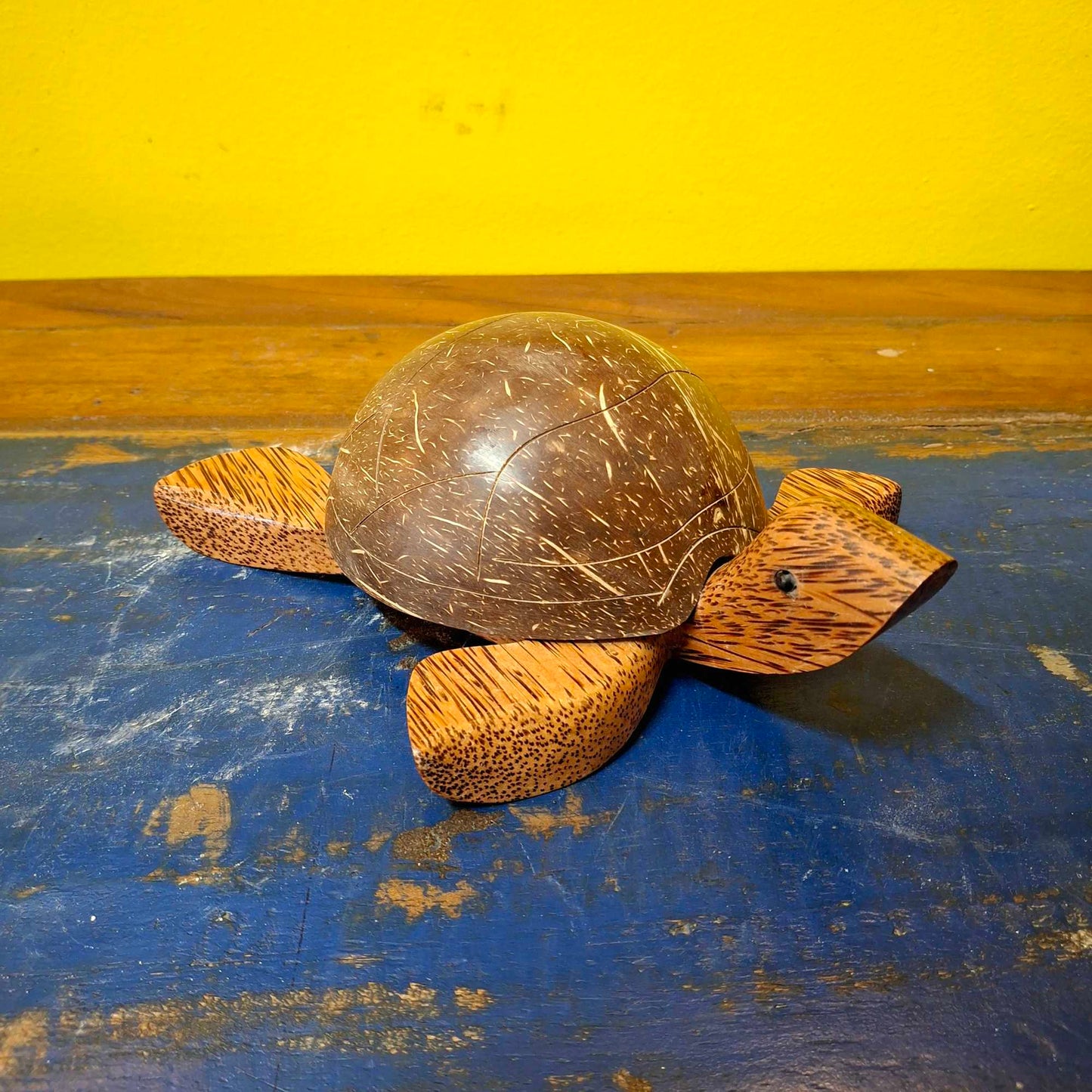 Posa cenere tartaruga in legno con coperchio in cocco
