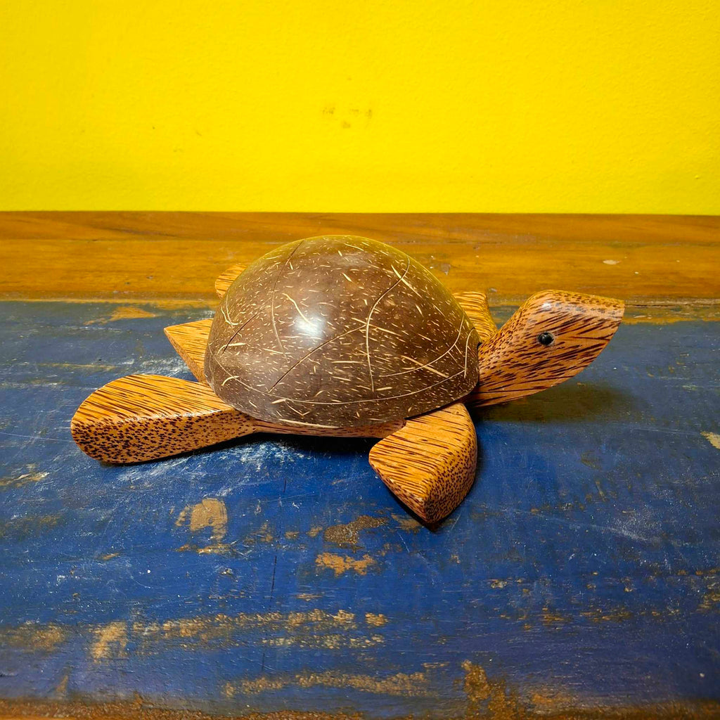Porta cenere tartaruga in legno coperchio cocco
