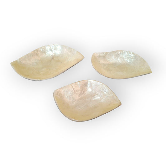 Ensemble d'assiettes en feuilles de nacre pour apéritifs