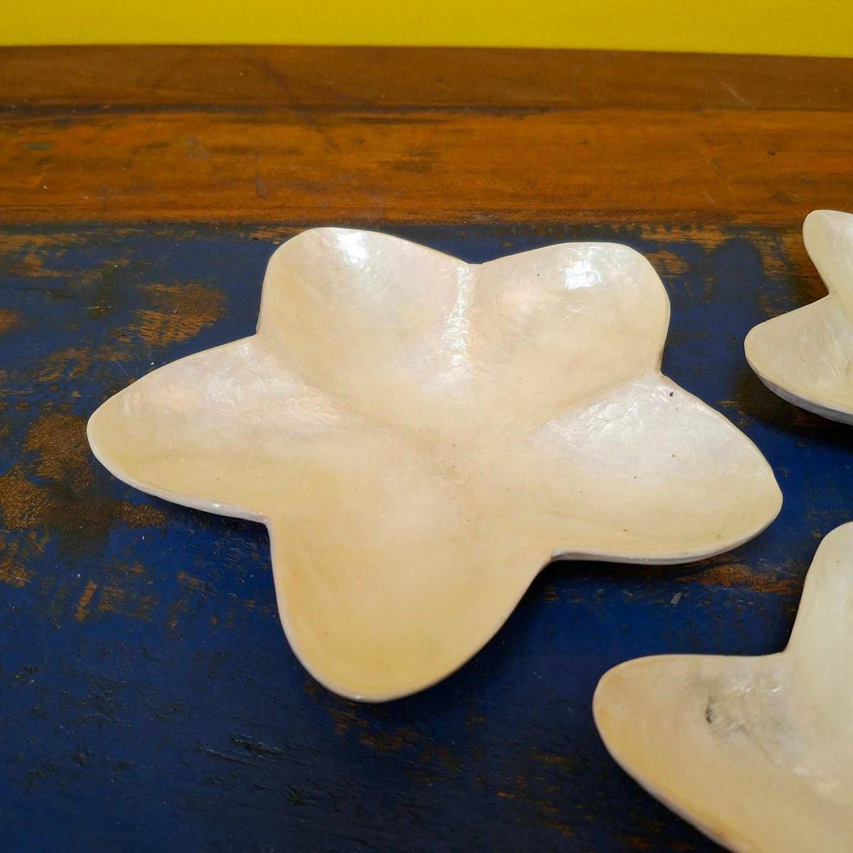 Piattini ciotoline a forma di stella madre perla