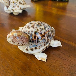 Une tortue avec une tête oscillante dans une carapace porte bonheur