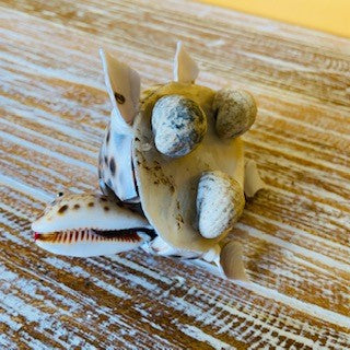 Tartaruga etnica in conchiglie porta fortuna - ETNICBAY