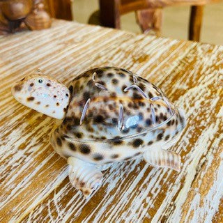Tartaruga etnica in conchiglie porta fortuna - ETNICBAY