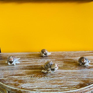 Tartaruga etnica in conchiglie porta fortuna - ETNICBAY