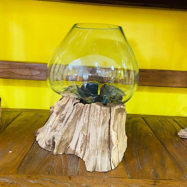 Vaso vetro e radice ampolla acquario stile etnico