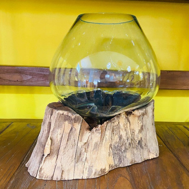 Vaso vetro e radice ampolla acquario stile etnico