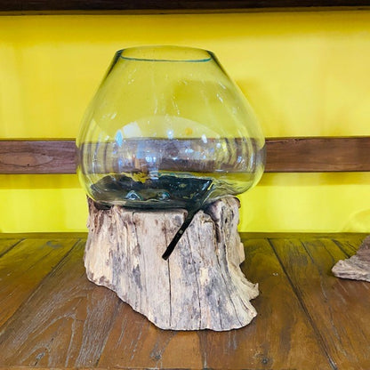 Vaso vetro e radice ampolla acquario stile etnico