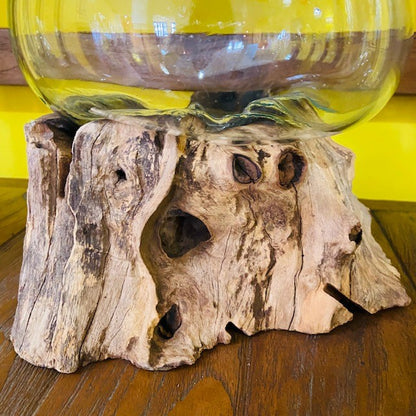 Vaso vetro e radice ampolla acquario stile etnico