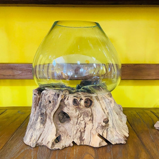 Vase en verre et ampoule à racines aquarium style ethnique