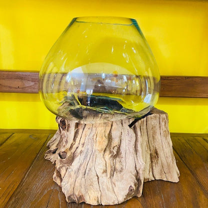 Vaso vetro e radice ampolla acquario stile etnico