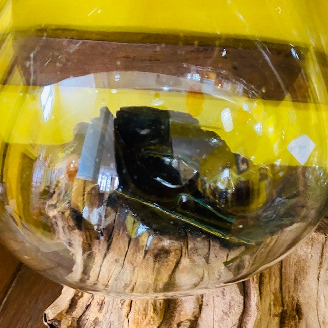 Vaso vetro e radice ampolla acquario stile etnico