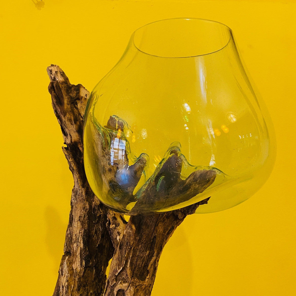 Vaso etnico vetro soffiato su radice acquario - ETNICBAY