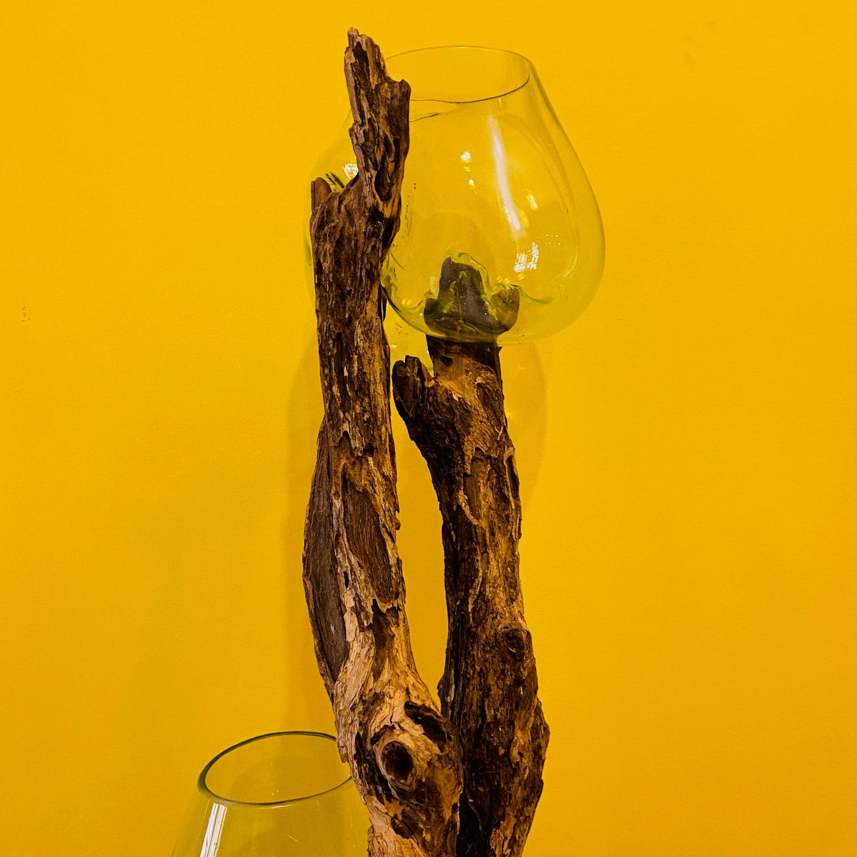 Vaso etnico vetro soffiato su radice acquario - ETNICBAY