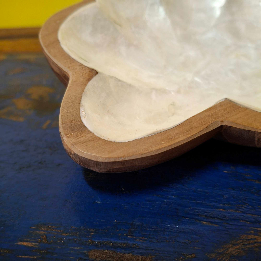 Muschelschale aus Perlmutt als Tischdekoration