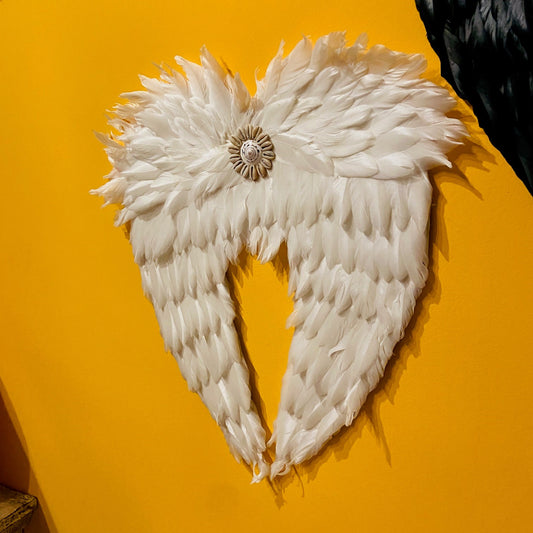 Décorations d'ailes d'ange ou de démon Plumes Coquillages