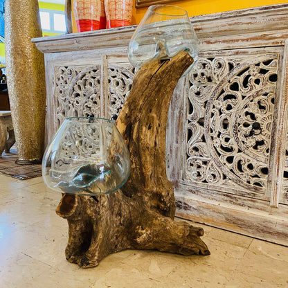 Ethnic vase, aquarium, root and glass