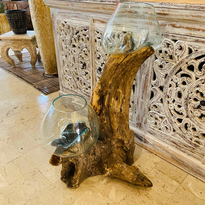 Ethnic vase, aquarium, root and glass