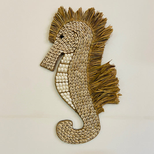 Hippocampe Coquillages Hippocampe