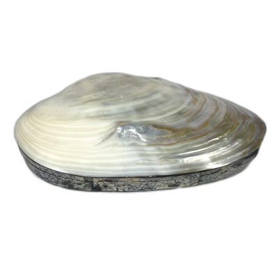 Coffret à bijoux en nacre et coquillage