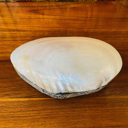 Coffret à bijoux en nacre et coquillage