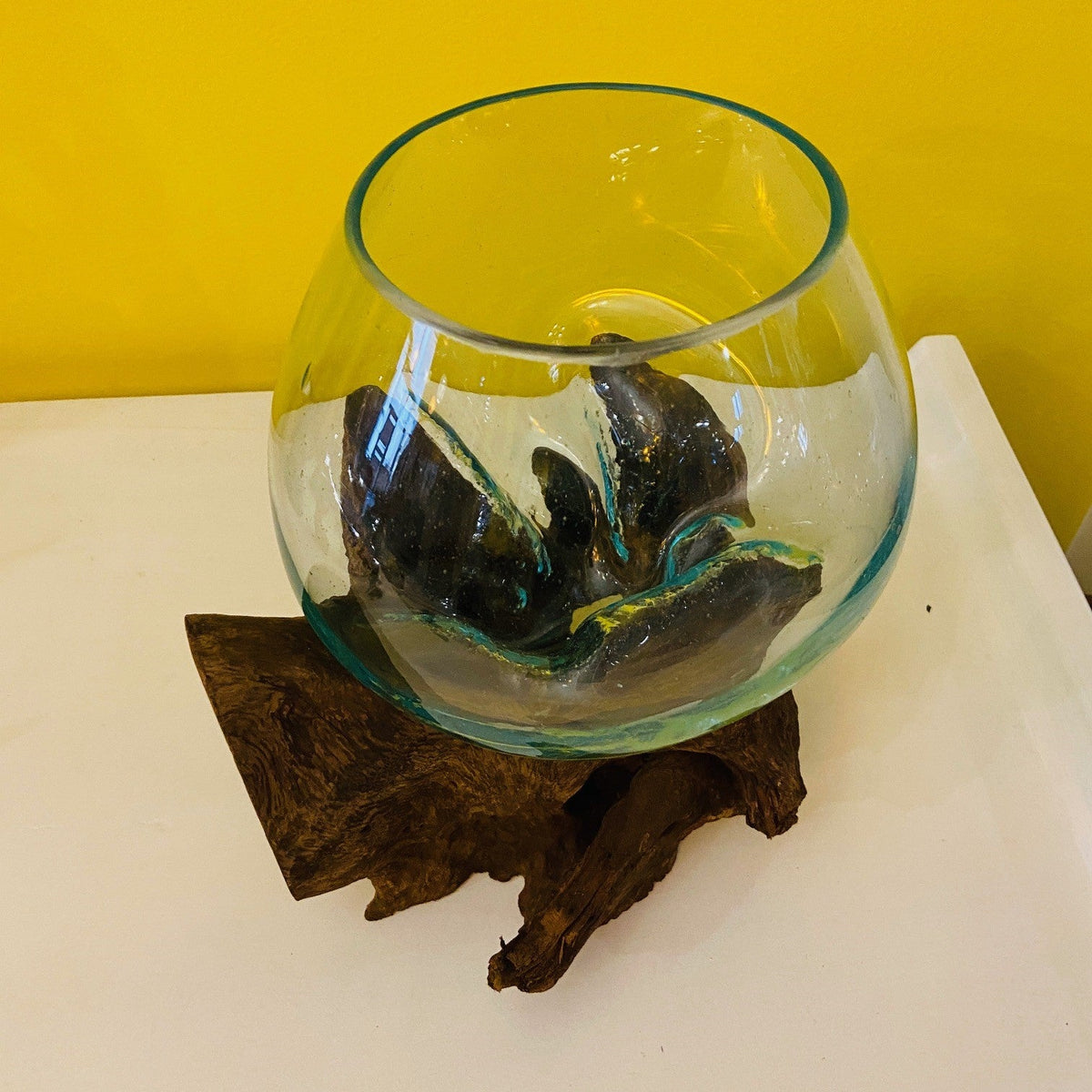 Vaso Etnico Orchidee Vetro Radice di Mangrovia - ETNICBAY