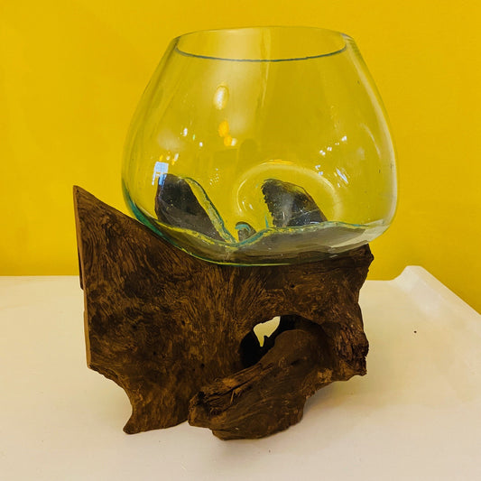 Vase à orchidées en verre avec ampoule pour racines d'aquarium
