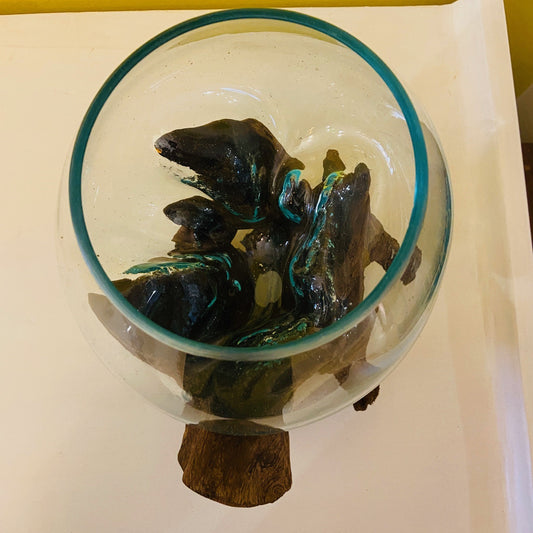 Vase à orchidées en verre avec ampoule pour racines d'aquarium