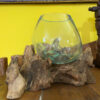 Vaso orchidea in vetro su legno soprammobile etnico - ETNICBAY