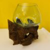 Vaso Orchidee Vetro Radice Ampolla Acquario - ETNICBAY